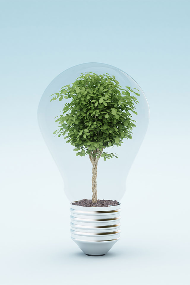 realizzazione-allestimento-green