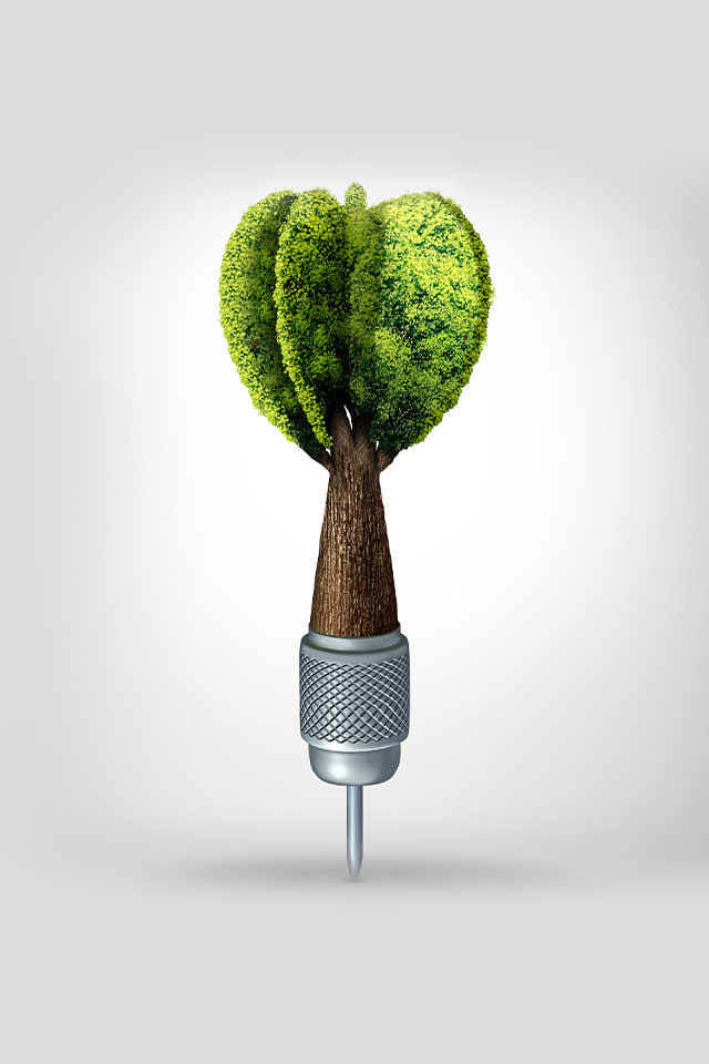 ecogreen---piano-di-comunicazione-per-brand-identity